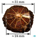Scientific Highlight - Revay& Kudejova Scientific Highlight - Revay& Kudejova